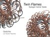 Buchcover Twin Flames