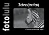 Buchcover Zebras(treifen)