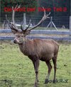 Buchcover Die Welt der Tiere  Teil 2