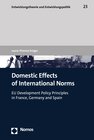 Buchcover Domestic Effects of International Norms