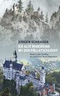 Buchcover Die alte Burgruine bei der Pöllatschlucht