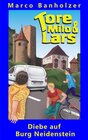 Buchcover Tore, Milo & Lars - Diebe auf Burg Neidenstein