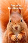 Buchcover Das süße Eichhörnchen Monatsplaner