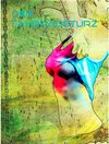 Buchcover Der Fahrradsturz