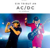 Buchcover Ein Tribut an AC/DC