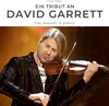 Buchcover Ein Tribut an David Garrett