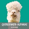Buchcover Querdenker-Alpakas
