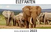 Buchcover Elefanten