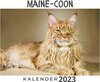 Buchcover Maine-Coon