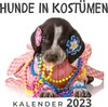 Buchcover Hunde in Kostümen