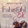 Buchcover FahrstuhlSex | Erotik Audio Story | Erotisches Hörbuch Audio CD