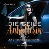 Buchcover Die geile Anhalterin | Erotik Audio Story | Erotisches Hörbuch Audio CD