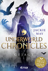 Buchcover Underworld Chronicles - Gejagt