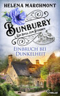 Buchcover Bunburry - Einbruch bei Dunkelheit