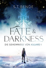 Buchcover Fate & Darkness - Die Geheimnisse von Asgard Band 1