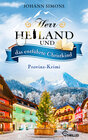 Buchcover Herr Heiland und das entführte Christkind