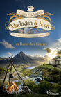 Buchcover MacTavish & Scott - Im Bann des Gurus