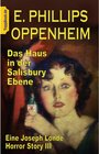 Buchcover Das Haus in der Salisbury Ebene