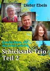 Buchcover Schicksals-Trio Teil 2