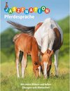 Buchcover Faszination Pferdesprache