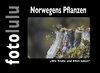 Buchcover Norwegens Pflanzen