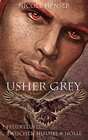 Buchcover Usher Grey - Feuerteufel & Zwischen Himmel und Hölle