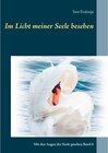 Buchcover Im Licht meiner Seele besehen