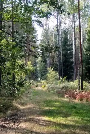 Buchcover ISBN 9783752900217