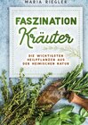 Buchcover Faszination Kräuter - Die wichtigsten Heilpflanzen aus der heimischen Natur