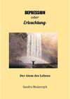 Buchcover Depression oder Erleuchtung?