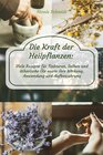 Buchcover Die Kraft der Heilpflanzen: Viele Rezepte für Tinkturen, Salben und ätherische Öle sowie ihre Wirkung, Anwendung und Auf