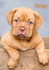 Buchcover Notizbuch A5 liniert [Puppy - Welpe] Softcover von Daily Paper Design | 80 Seiten | als Tagebuch, Bullet Journal, Notizh
