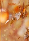 Buchcover Notizbuch A5 dotted [Autumn - Herbst] Softcover von Daily Paper Design | 80 Seiten | als Tagebuch, Bullet Journal, Notiz