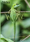 Buchcover Notizbuch A5 dotted [Lizard - Eidechse] Softcover von Daily Paper Design | 80 Seiten | als Tagebuch, Bullet Journal, Not
