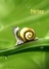 Buchcover Notizbuch A5 dotted [Snail - Schnecke] Softcover von Daily Paper Design | 80 Seiten | als Tagebuch, Bullet Journal, Noti