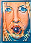 Buchcover Perfection