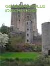 Buchcover Geheimnisvolle irische Rose