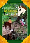 Buchcover Marvin 2
