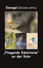 Buchcover Eisvogel (Alcedo atthis)