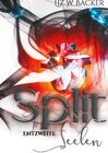 Buchcover Split