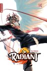 Buchcover Radiant 14