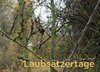 Buchcover Laubsätzertage