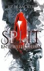 Buchcover Split