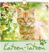 Buchcover Katzen-Tatzen 2023