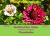 Buchcover Pflanzenfamilien im Garten - Das aktive Lehrbuch Biologie