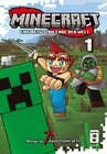 Buchcover Minecraft 01