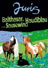 Buchcover Balthasar, Haudiblau und Sausewind