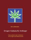 Buchcover Drogen-Kabbala für Anfänger