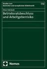 Buchcover Betriebsratsbeschluss und Arbeitgeberrisiko