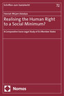 Buchcover Realising the Human Right to a Social Minimum?